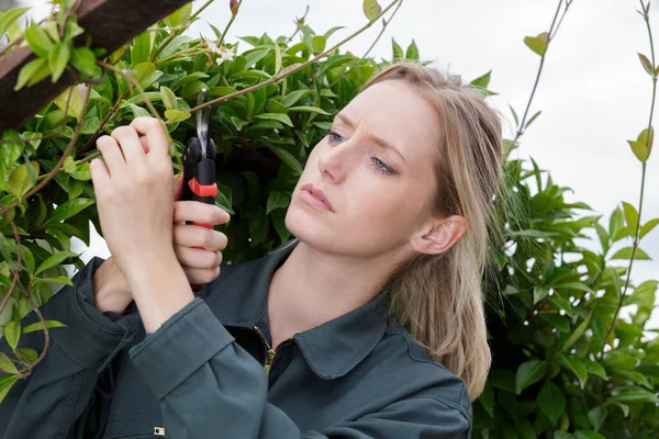 Žena Zahradník Prořezávání Keře — Stock fotografie