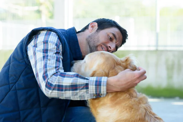 Veteriner Hasta Bir Köpeğin Kulağını Kontrol Ediyor — Stok fotoğraf