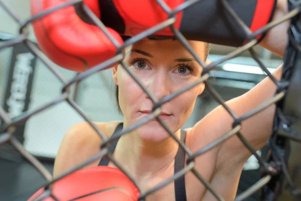 Portrait Female Boxer — Stock Photo, Image