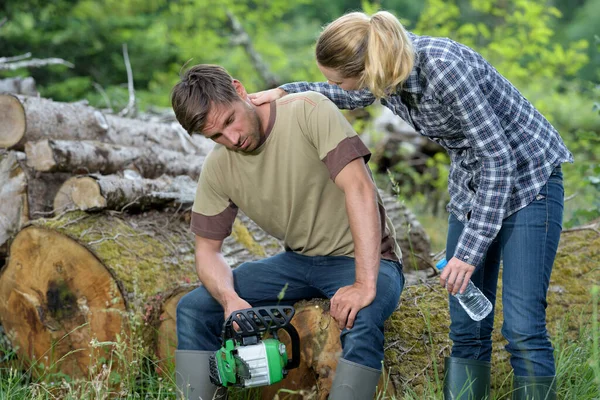 Brennholz Brennholz Schnittholz Rundholz Konzept — Stockfoto