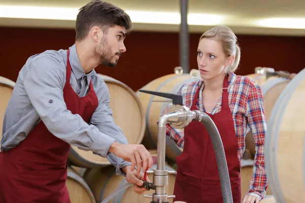 Esperto Enologo Stimano Qualità Del Vino Cantina — Foto Stock