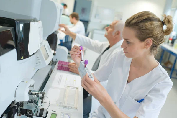 Asistente Laboratorio Analizando Una Muestra Sangre —  Fotos de Stock