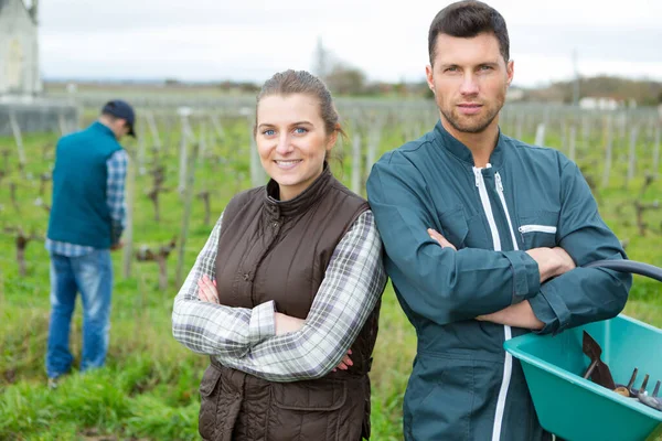 Lavoratori Della Vendemmia Guardando Telecamera — Foto Stock