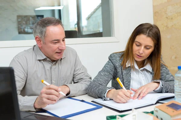 Jeune Professionnelle Expliquant Des Idées Mentor — Photo