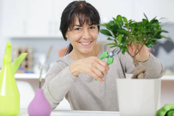 Attrezzatura Bonsai Step Making Bonsai — Foto Stock