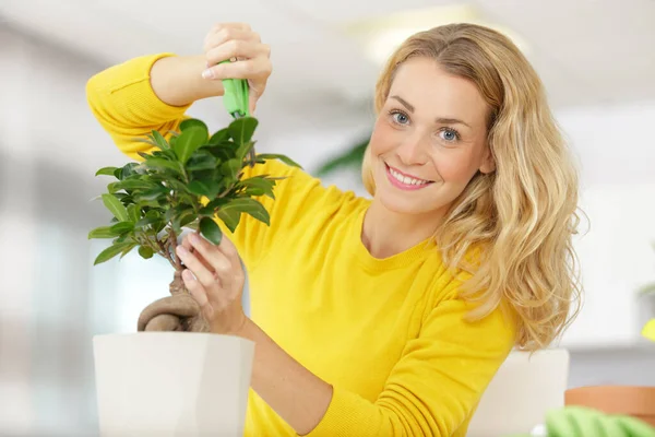 Mulher Feliz Aparando Bonsai — Fotografia de Stock