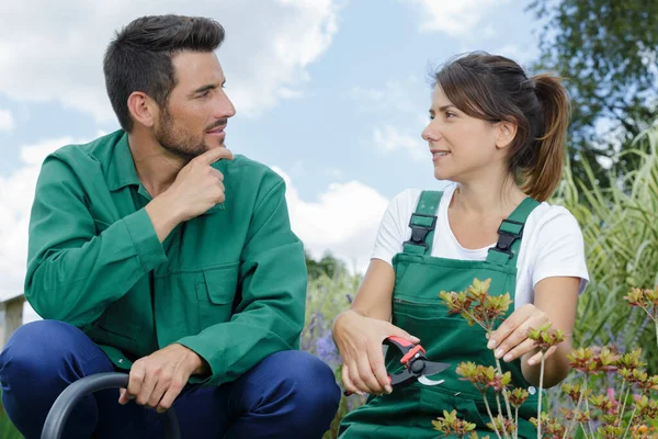 Jovem Casal Jardinagem Usando Tesouras Jardim — Fotografia de Stock