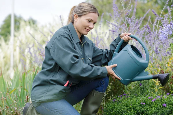 一个女人在浇灌植物 — 图库照片