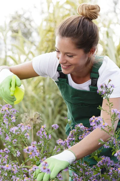 Κηπουρός Ψεκάζει Λουλούδια Χρησιμοποιώντας Ένα Πιστόλι Ψεκασμού — Φωτογραφία Αρχείου