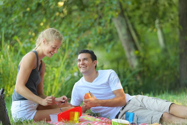 草原でピクニックをしているカップルは — ストック写真