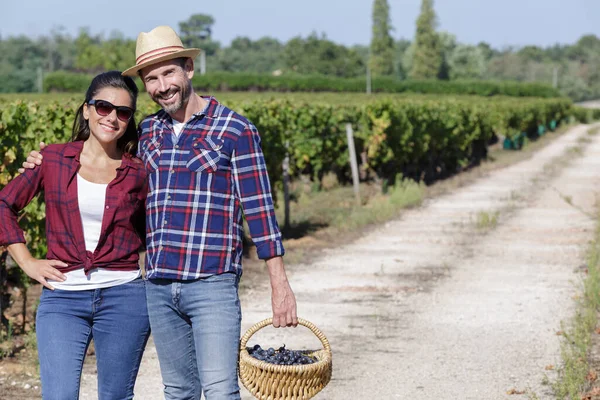 Casal Segurando Uma Cesta Uvas Pista Por Vinha — Fotografia de Stock