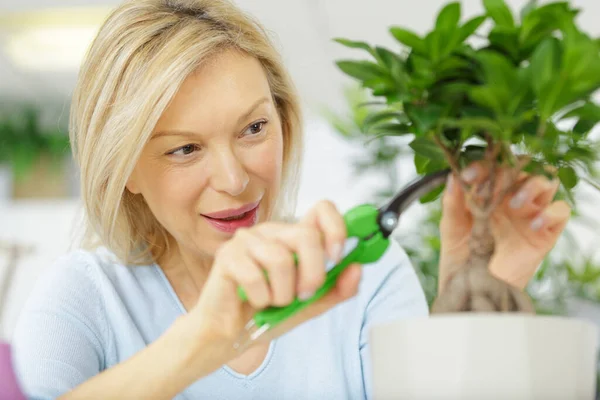 Bella Donna Sorridente Tagliare Bonsai — Foto Stock