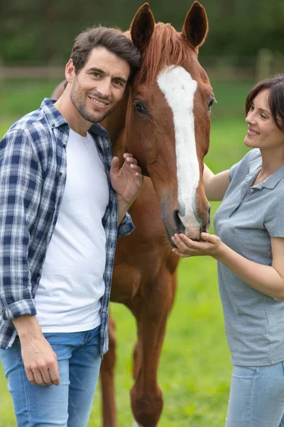 迷人的年轻夫妇和一匹棕色的马站在一起 — 图库照片