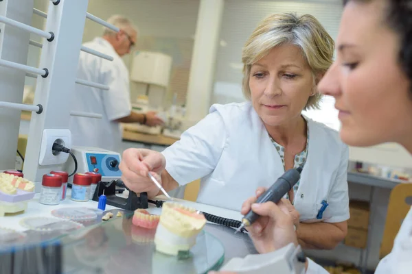 Odontotecnico Che Tiene Articolatore Con Protesi — Foto Stock