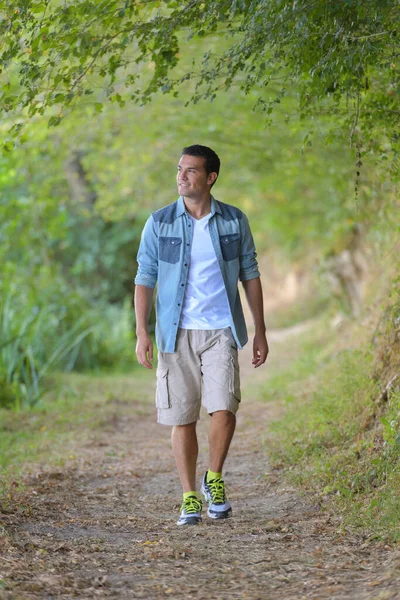 Homme Marchant Dans Forêt — Photo