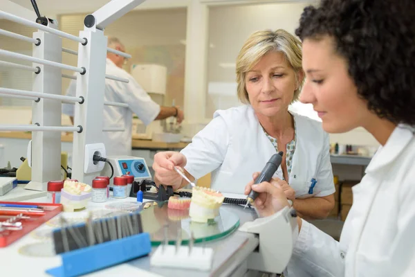 Supervisore Guida Tirocinante Laboratorio Dentale — Foto Stock