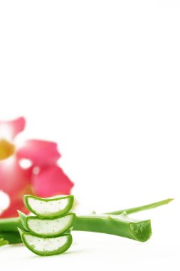 Aloe vera - dilimlenmiş studio vurdu