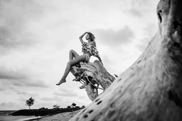 Woman Sitting Log Sea Time Concept — Stock Fotó