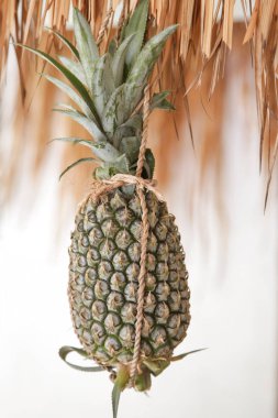 Ananas meyve suyu barı