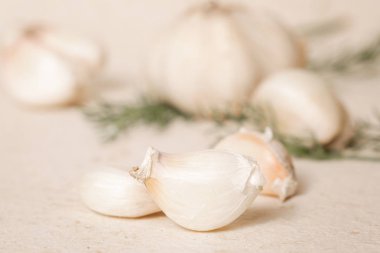 Sarımsak Studio atış kapatın