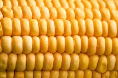 Mısır doku görüntü kadar kapatın