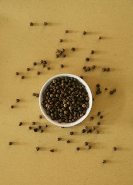 Kara biber, stüdyo yakın görüntü