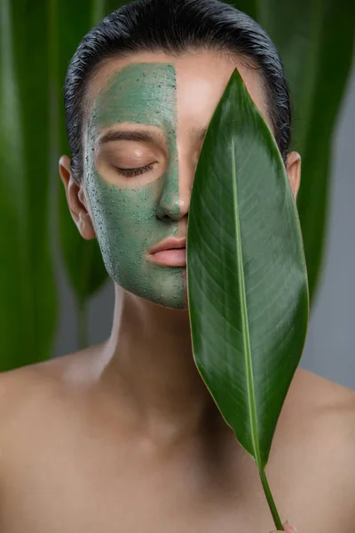Máscara Facial Verde Retrato Estudio: fotografía de stock triocean2011 #240107906 | Depositphotos