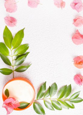 Organik Kozmetik Parfümeri Ürünleri - doğal ürünlerin üstten görünüm