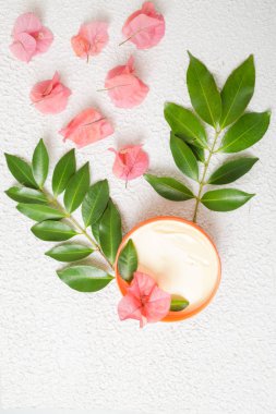 Organik Kozmetik Parfümeri Ürünleri - doğal ürünlerin üstten görünüm