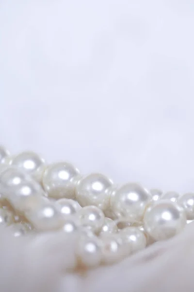 Pearls Feathers Romantic Set Empty Space — Stock Photo, Image