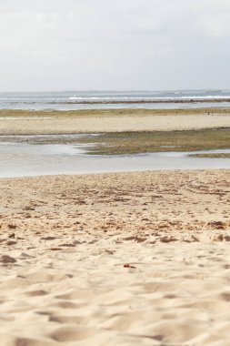 Düşük tide beach, seçici odak