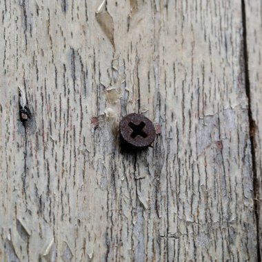 Eski ahşap arka plan üzerinde çivi