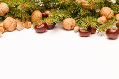 Noel dekorasyonu, öğeleri bir dekorasyon için kış tatil olarak doğadan