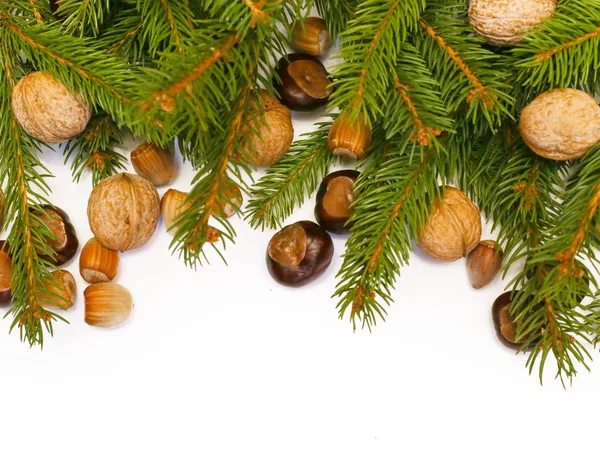 クリスマスの飾り 冬の休日の装飾として自然からの要素 — ストック写真