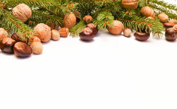 Kerstdecoratie Elementen Uit Natuur Als Decoratie Voor Wintervakantie — Stockfoto