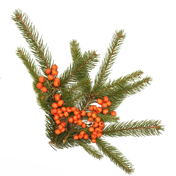 Winter Holidays Decoration Fir Brunches White — Stock Photo, Image