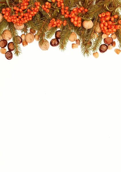 Christmas Decoration Elements Nature Decoration Winter Holidays — Stock Photo, Image