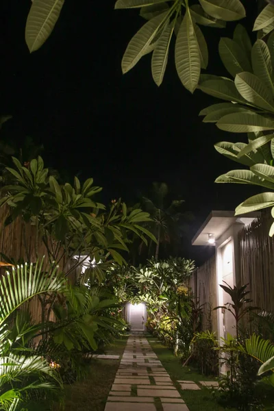Beautiful tropical garden, night time