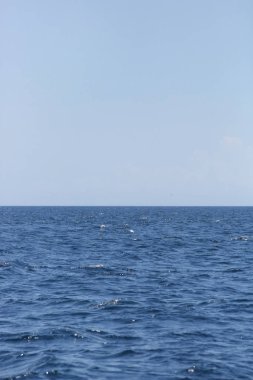 Okyanus manzarası ile açık mavi gökyüzü