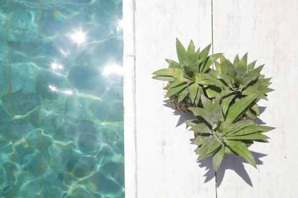 Ananas Sommerferien Urlaub Und Ernährungskonzept — Stockfoto