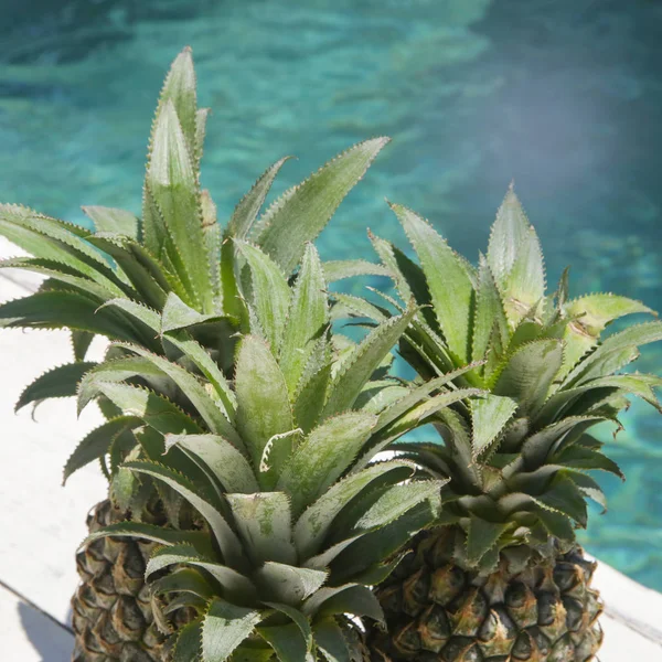 Ananas Vacanze Estive Vacanze Concetto Cibo — Foto Stock