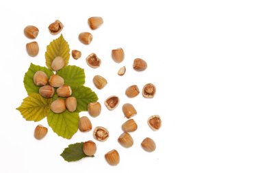 Fındık - beyaz vurdu stüdyo