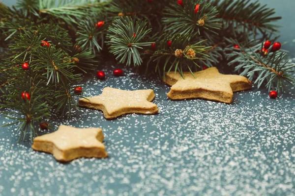 Décoration Noël Biscuits Pain Épice Avec Branches Sapin — Photo