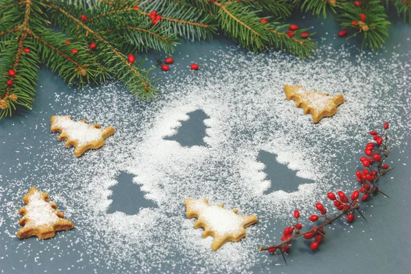 Décoration Noël Biscuits Pain Épice Avec Branches Sapin — Photo
