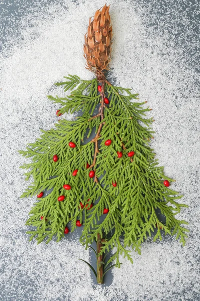 Christmas Tree Made Branches Cone — Stock Photo, Image