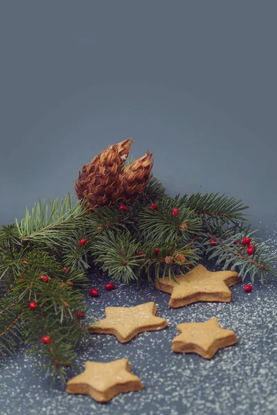 クリスマスの飾り モミの枝でジンジャーブレッド クッキー — ストック写真