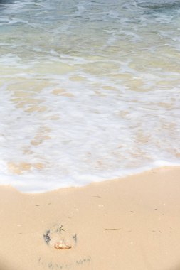 Güzel kumsalı, hiçbir insan