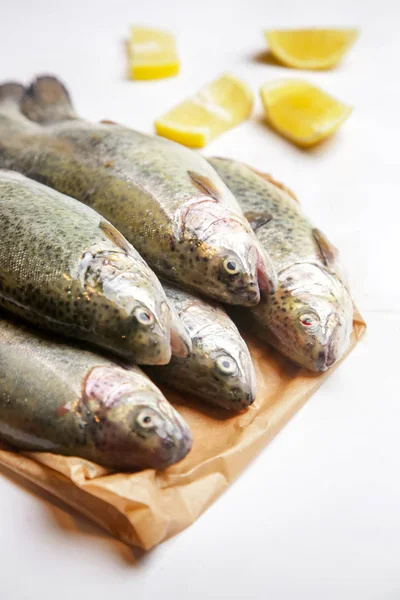 Pesce Trota Sulla Carta Marrone — Foto Stock