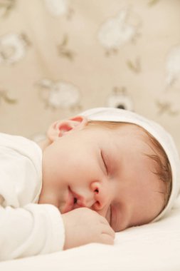 Yeni doğan bebek uyku portresi