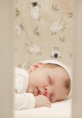 Yeni doğan bebek uyku portresi